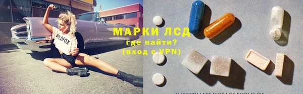 ГАЛЛЮЦИНОГЕННЫЕ ГРИБЫ Балабаново