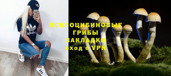 винт Балахна