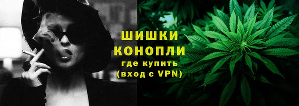 ГАЛЛЮЦИНОГЕННЫЕ ГРИБЫ Балабаново