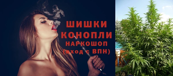ГАЛЛЮЦИНОГЕННЫЕ ГРИБЫ Балабаново