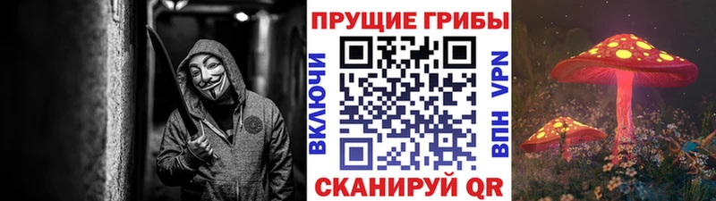 хочу наркоту  Нефтегорск  Галлюциногенные грибы Cubensis 