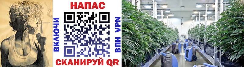 omg как войти Нефтегорск МАРИХУАНА OG Kush цена
